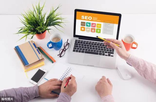 视界大会奖给了向往的生活的狗